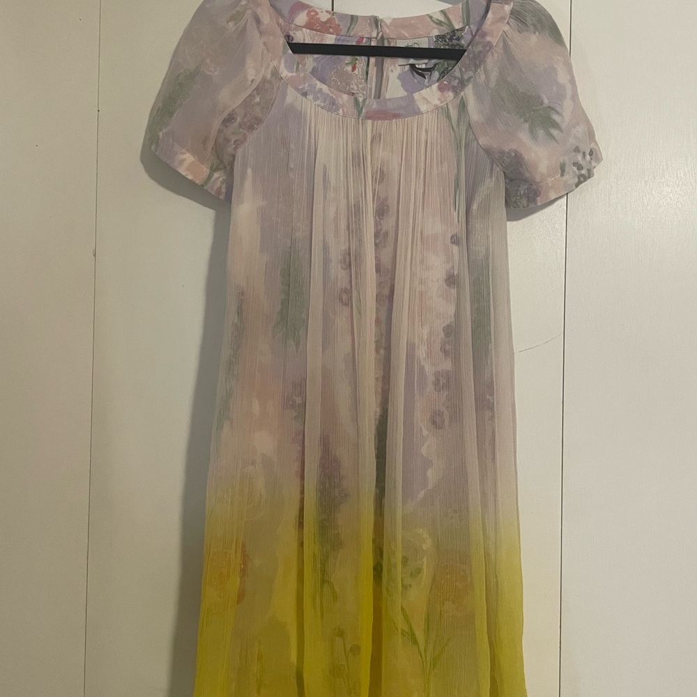 HD in Paris Women's Ombre Anthropologie Dipped Chroma Floral  Mini Dress Size 2